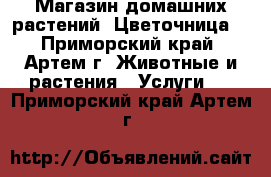 Магазин домашних растений “Цветочница“ - Приморский край, Артем г. Животные и растения » Услуги   . Приморский край,Артем г.